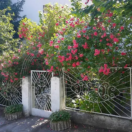 Milinkovic Appartement Niska Banja