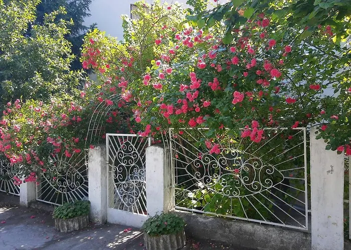 Milinkovic דירה ניסקה בנז'ה