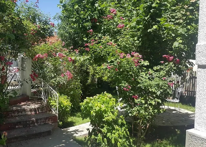 Milinkovic ניסקה בנז'ה